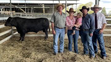 Double K Striker with buyer Graham Ford, Bonalbo, and breeders Karly, Payton and Adam Williamson, Double K Simmentals at Sugarloaf via Stanthorpe, Qld. 